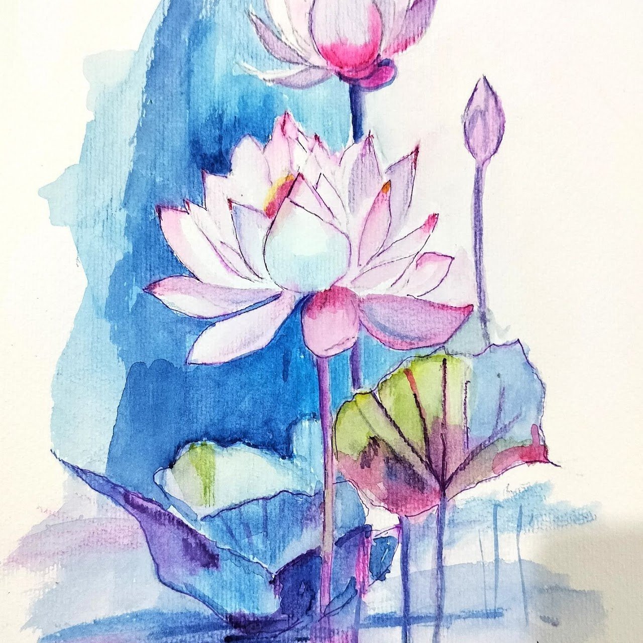 Where Water Meets Bloom